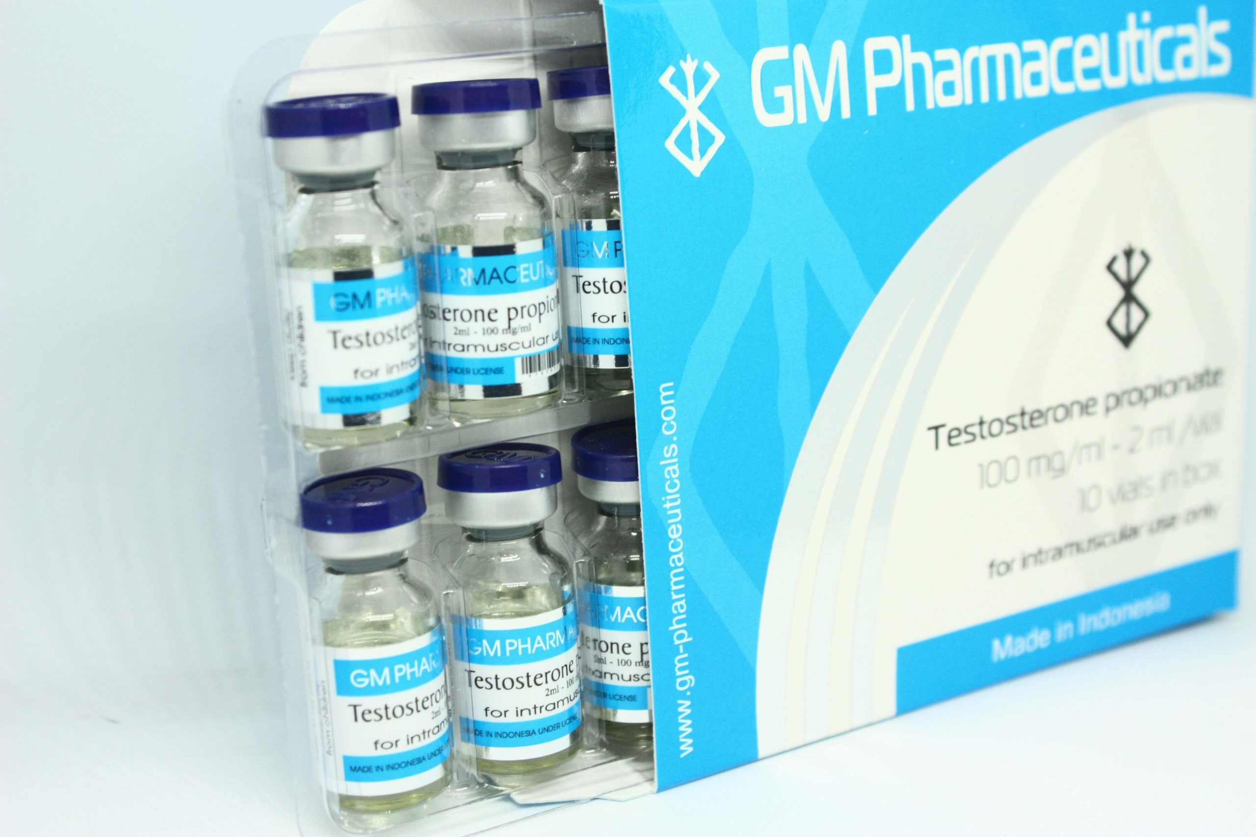 testp-gm-2-1-scaled-1-2.jpg
