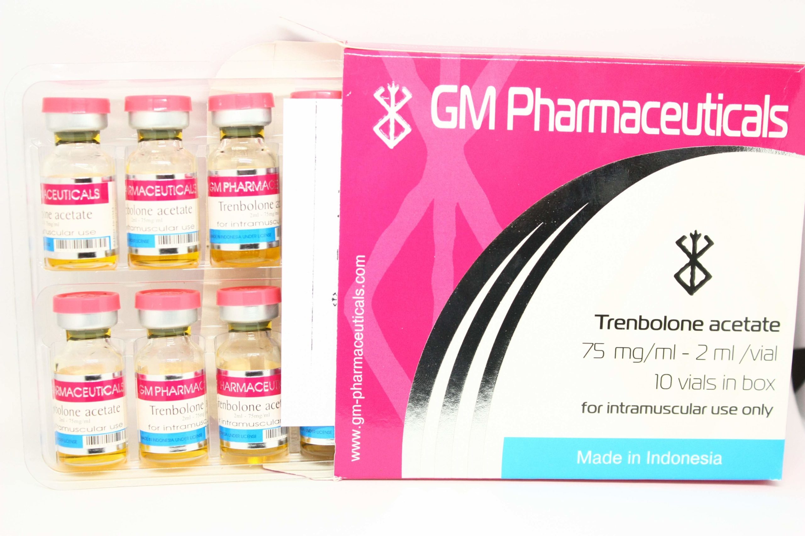 trena-gm-2-1-scaled-1-2.jpg